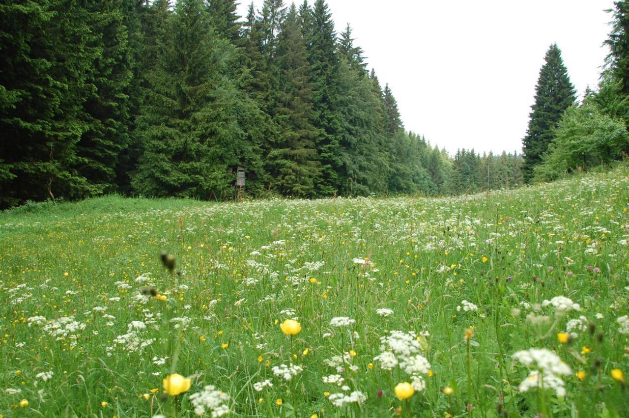 Ferienwohnung Reifberg Ilmenau Bilik gambar